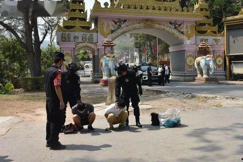 边境追缉队,捍卫国门，勇闯天涯的正义之战