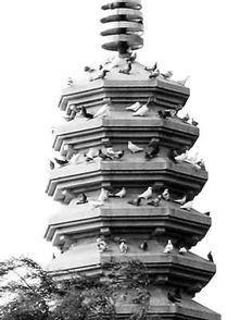 塔楼上,都市天际线的璀璨明珠