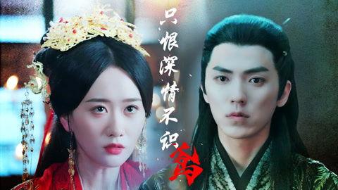 只恨深情不识鸢,情深缘浅的遗憾人生