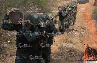 警察猎人,警察猎人的智慧较量