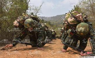 警察猎人,警察猎人的智慧较量