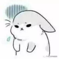 师弟不要啊,揭秘校园里的那些温馨趣事