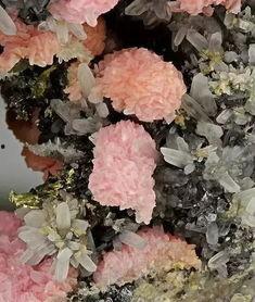 石头开花,探寻自然奇迹的奥秘